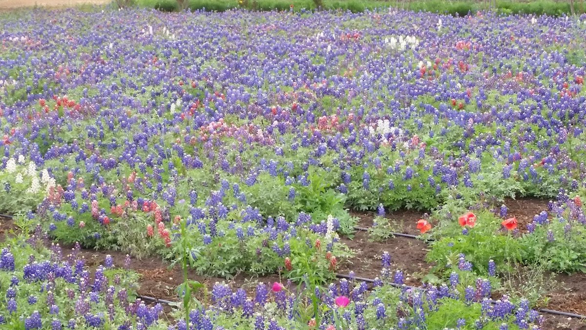 Christopher McQuade tweet media