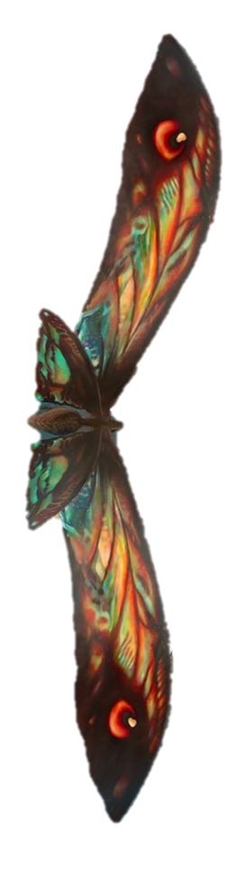 Steenee lover tweet media