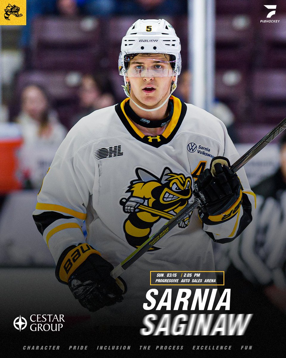 Sarnia Sting tweet media