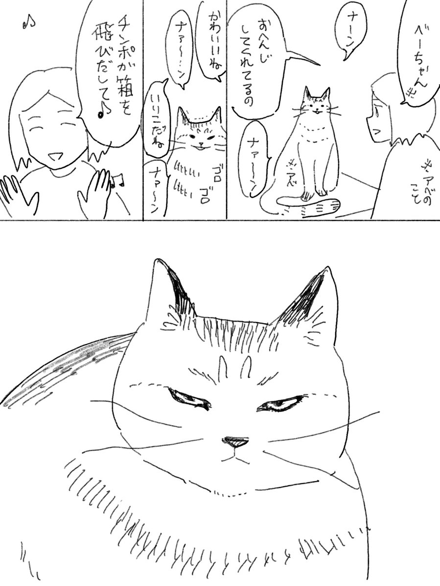 日記 猫に露骨に無視される 