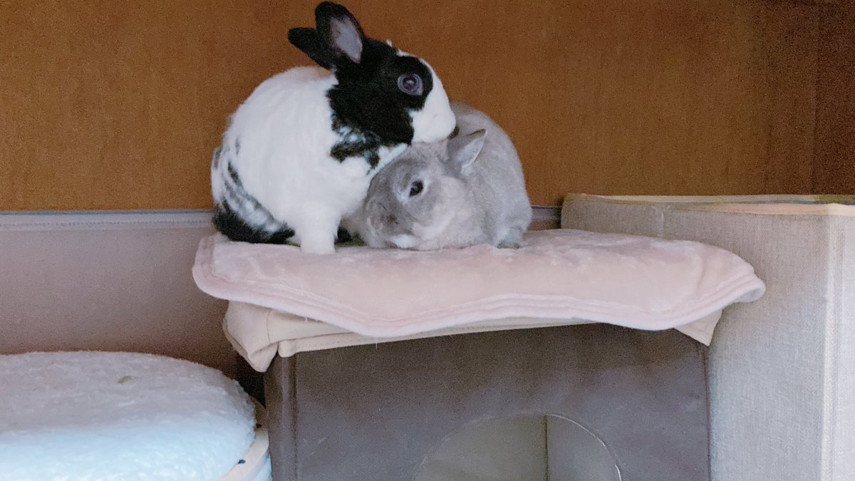 本日の仲良ショット