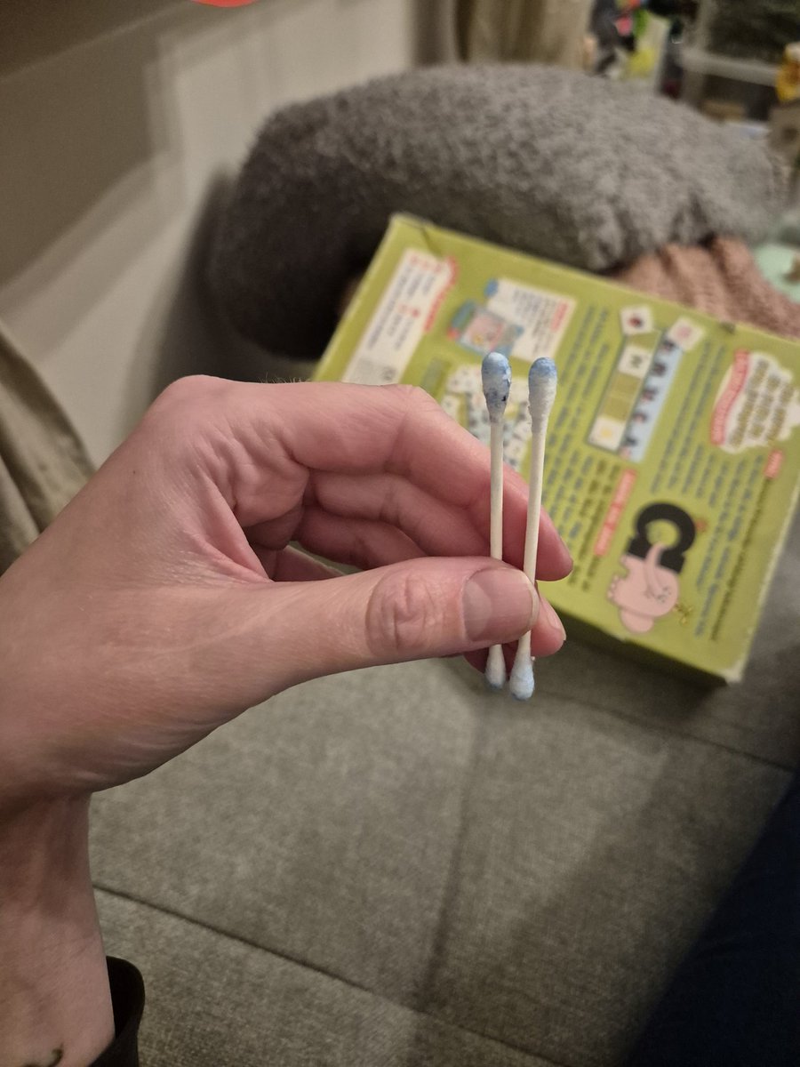 Prinsessan Sara tweet media