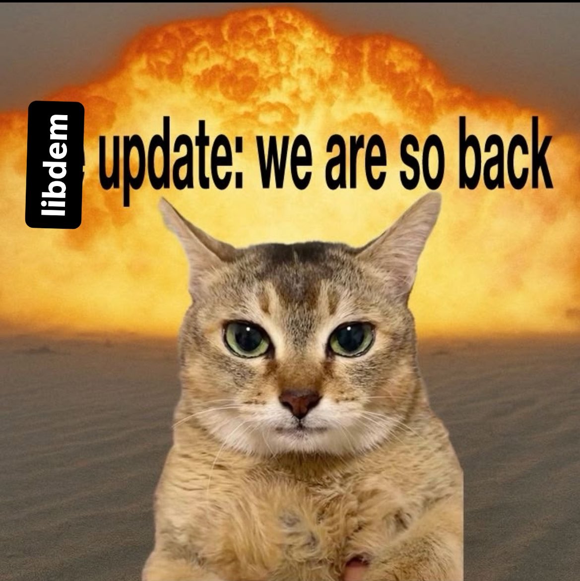 Bristol Young Liberals 🔶 tweet media