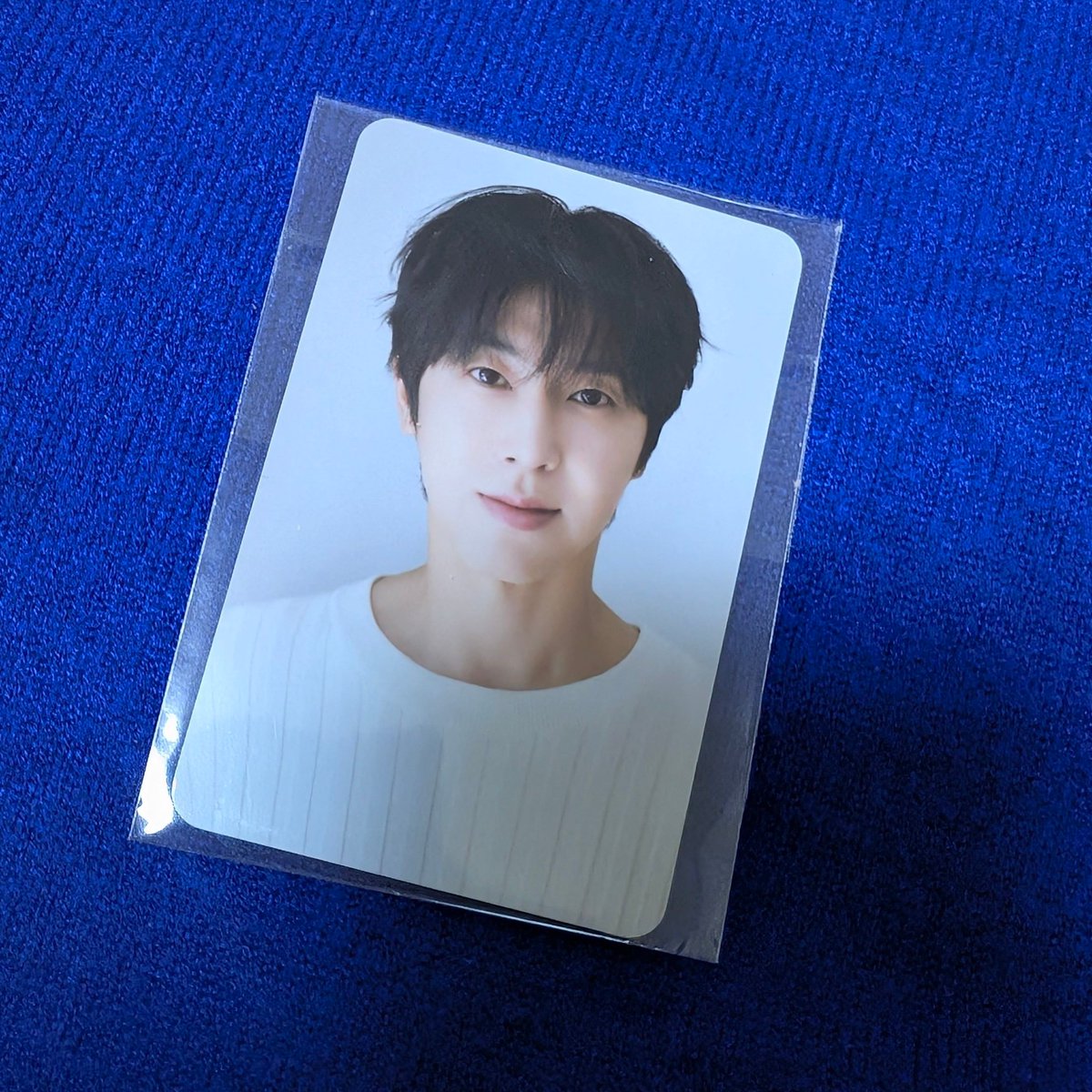 シェリー🧸🎈 tweet media