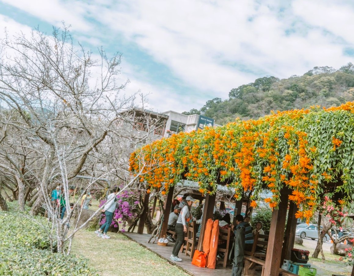 Raickan15's tweet image. #Jeju 🇰🇷