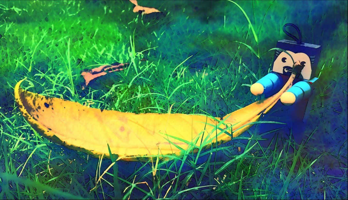 Thiago_Goode tweet media