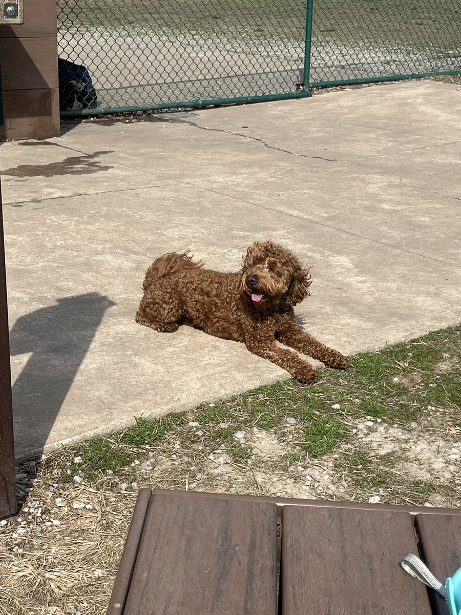 Karin Johnson WLWT tweet media