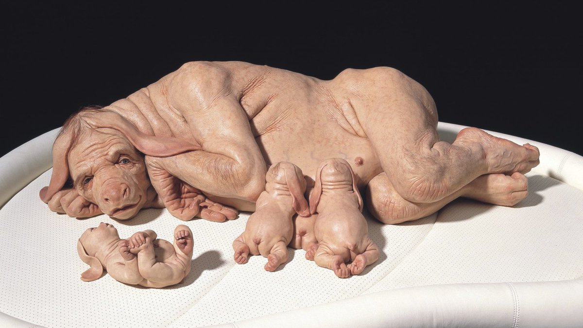 350 OG FILMS 👨‍💻 tweet media