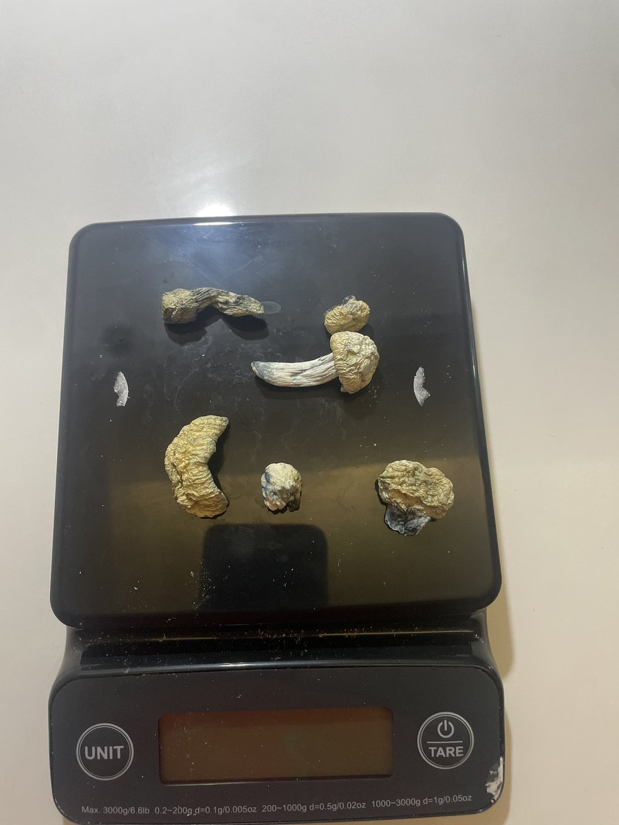 ConwaysCorner tweet media