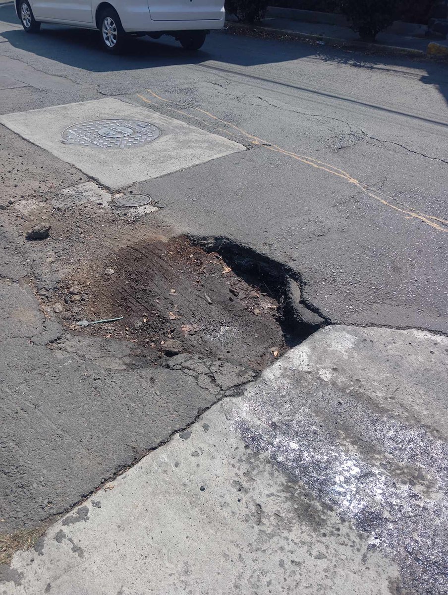 Diario Cuicuilco tweet media