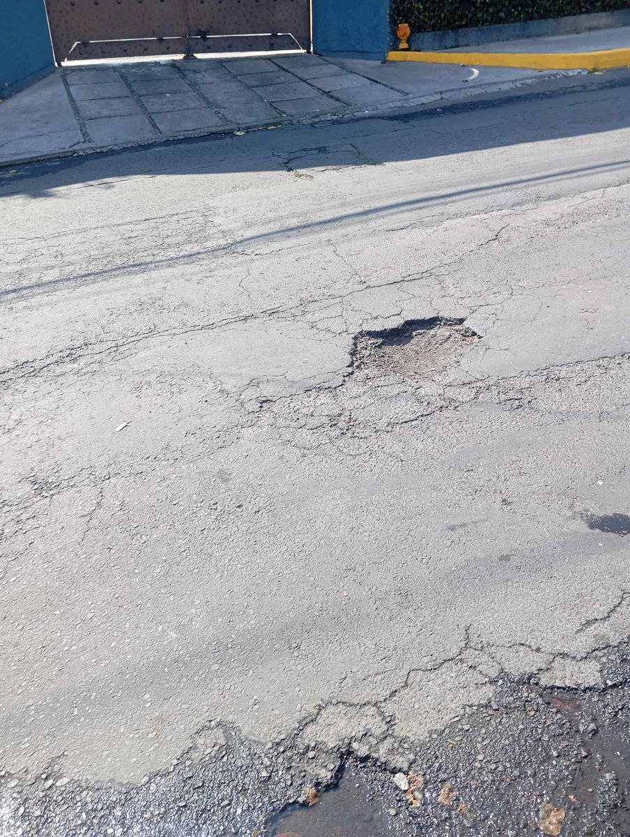 Diario Cuicuilco tweet media