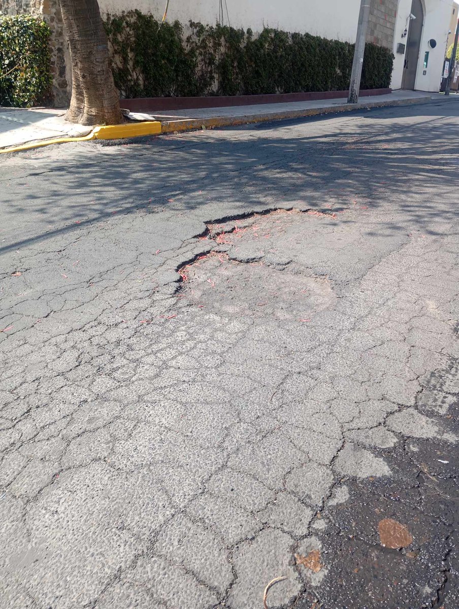 Diario Cuicuilco tweet media