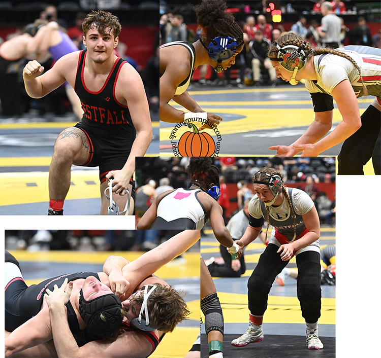 Sporting Pumpkin tweet media