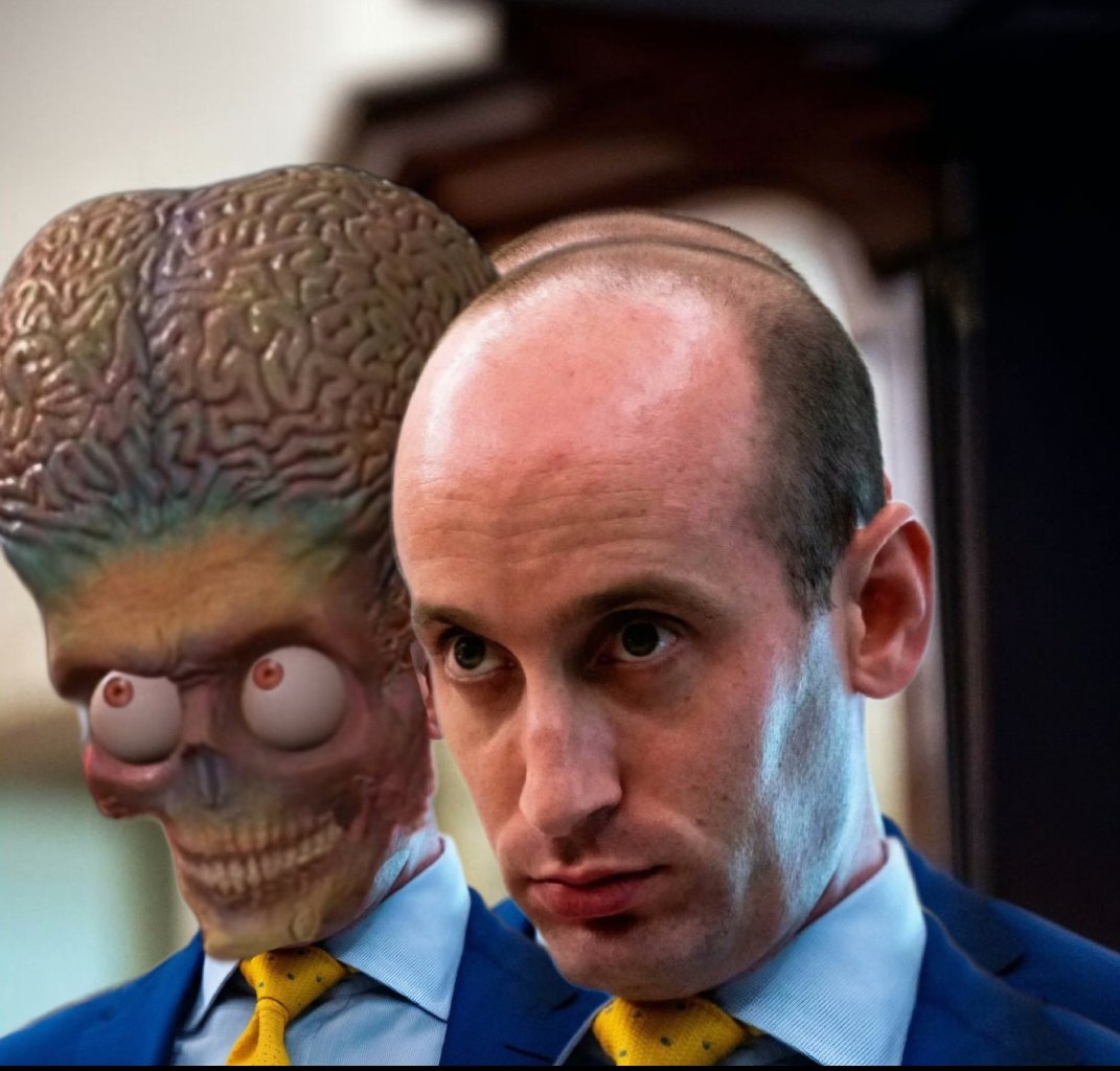 Stefan Maurer🥶 tweet media