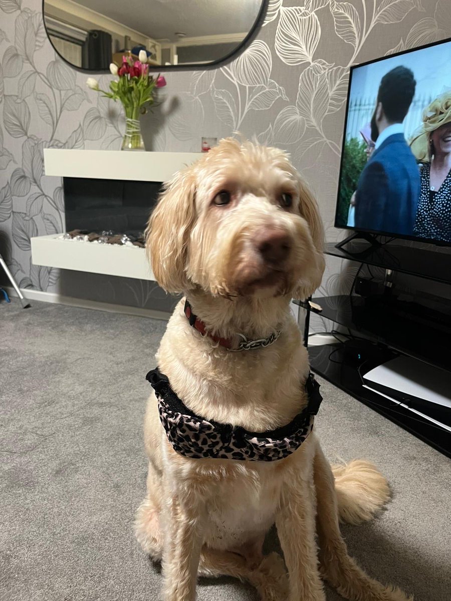 Top of the Klopps 20🖐👍 tweet media