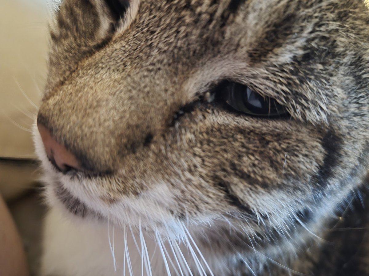 Justin Roberti tweet media