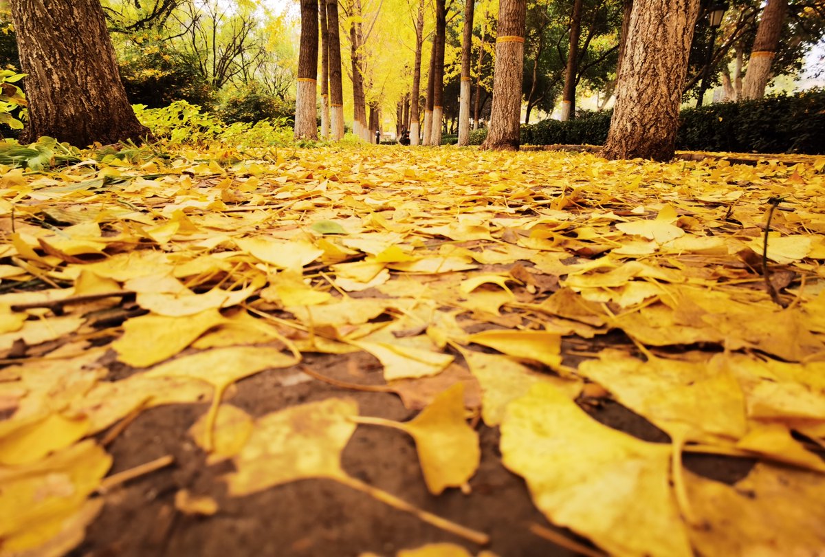 Chistopher Holmes tweet media