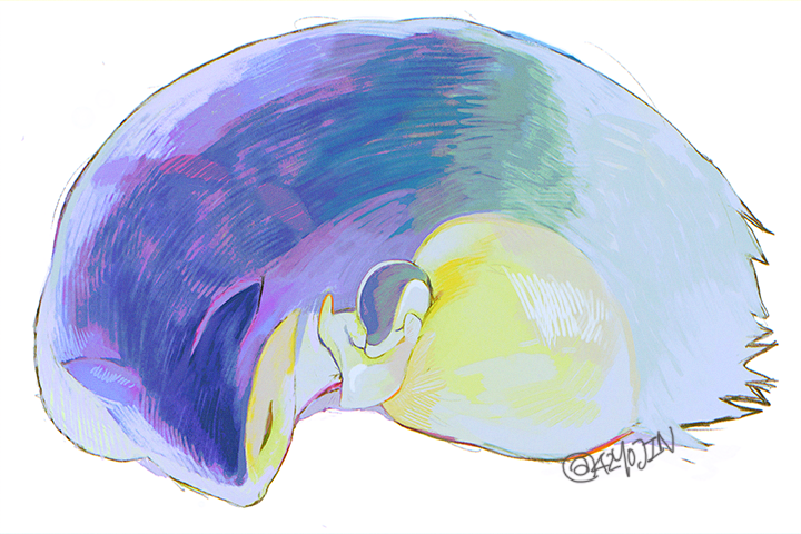 ⛔️42 tweet media