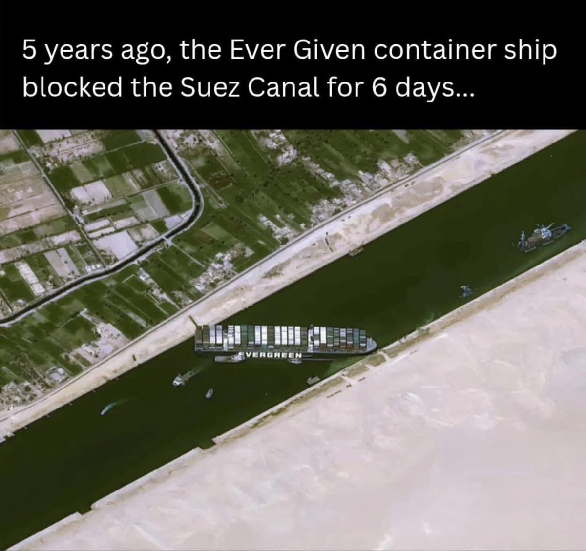 Lizardpeepill's tweet photo. Welcome to the #Narrative #Currentthing #PoliticalCorrectness #online #Insanity #Liberals #Vs #democracydebates #Dueapps #America #SuezCanal #Bp #Shell https://t.co/BxuZrPrw7w