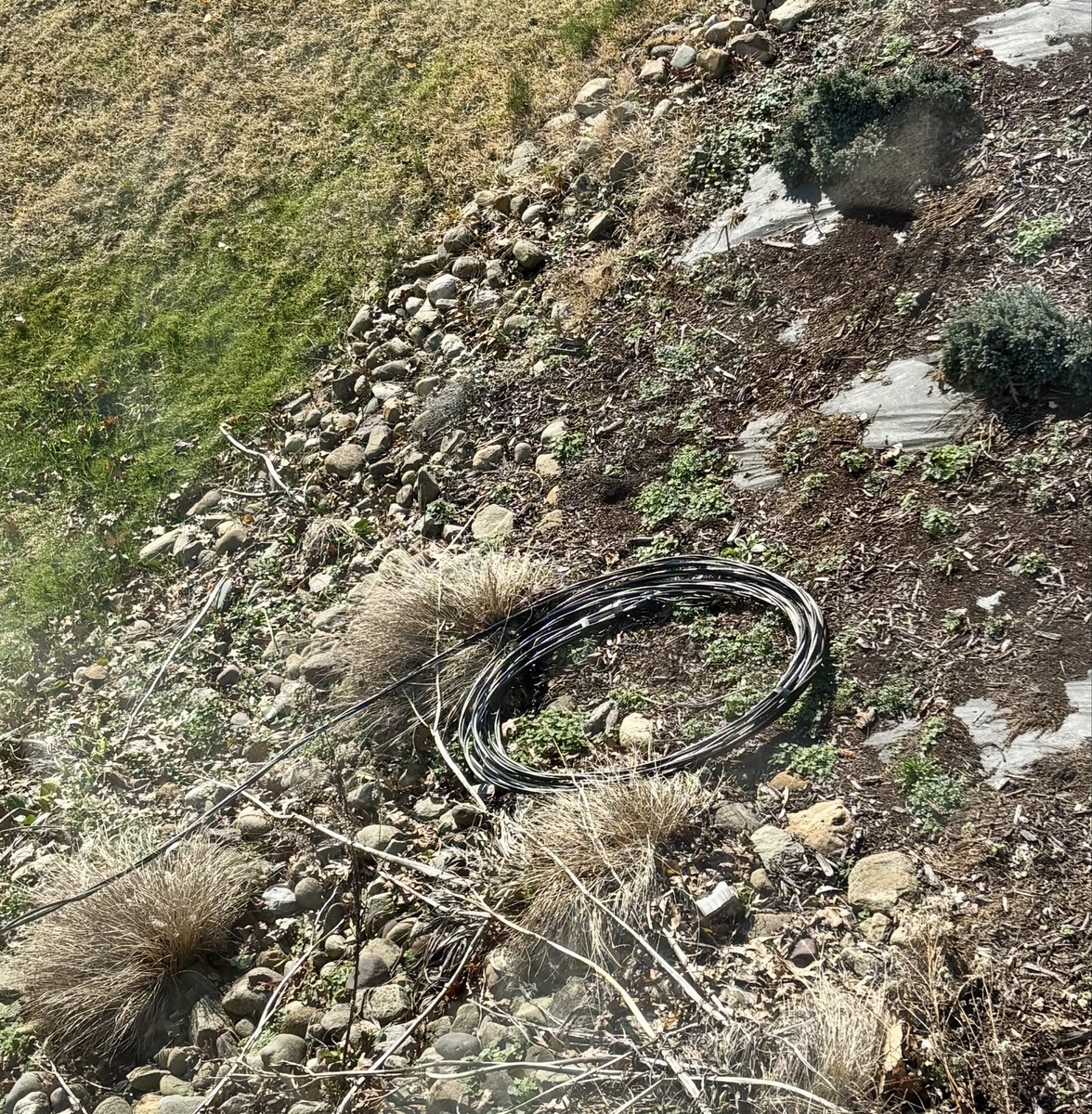 Brian Springer tweet media