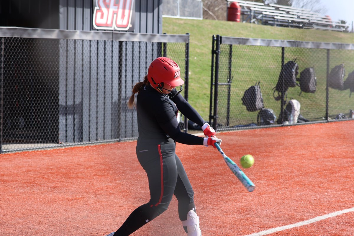 Saint Francis Softball tweet media