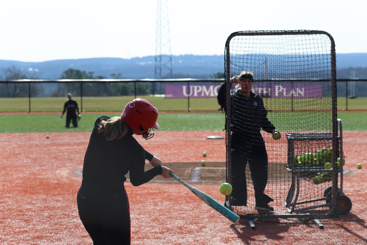 Saint Francis Softball tweet media