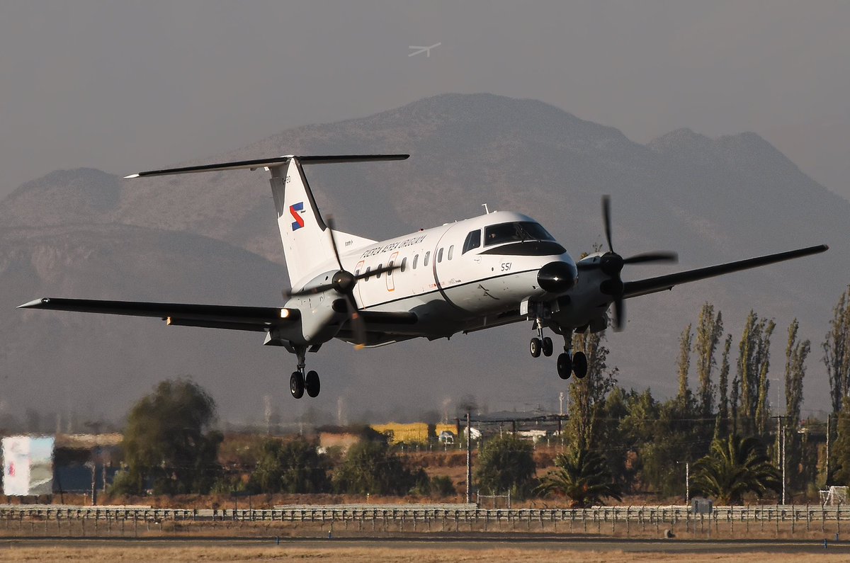 Maurice Becker tweet media