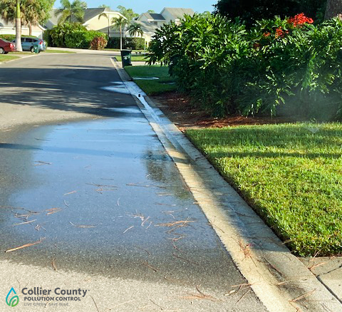 Collier County Government tweet media