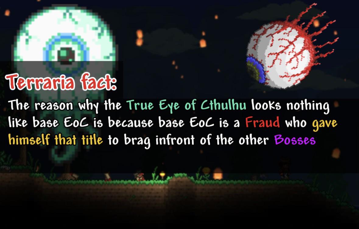 r/Terraria 🌳 tweet media