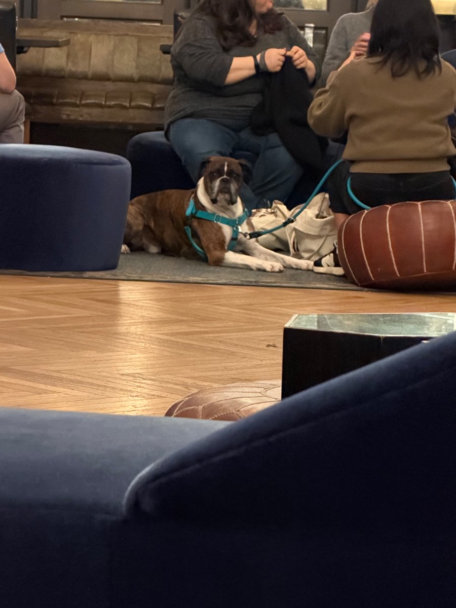 unregistered hyperkate 2 tweet media