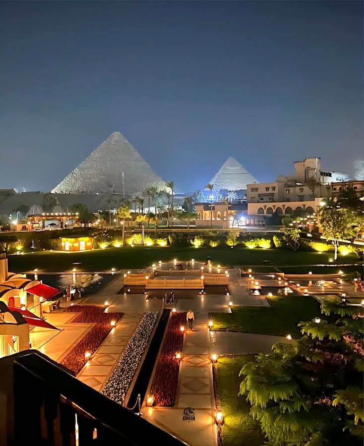 🇪🇬 شغف حرف 🇪🇬 tweet media