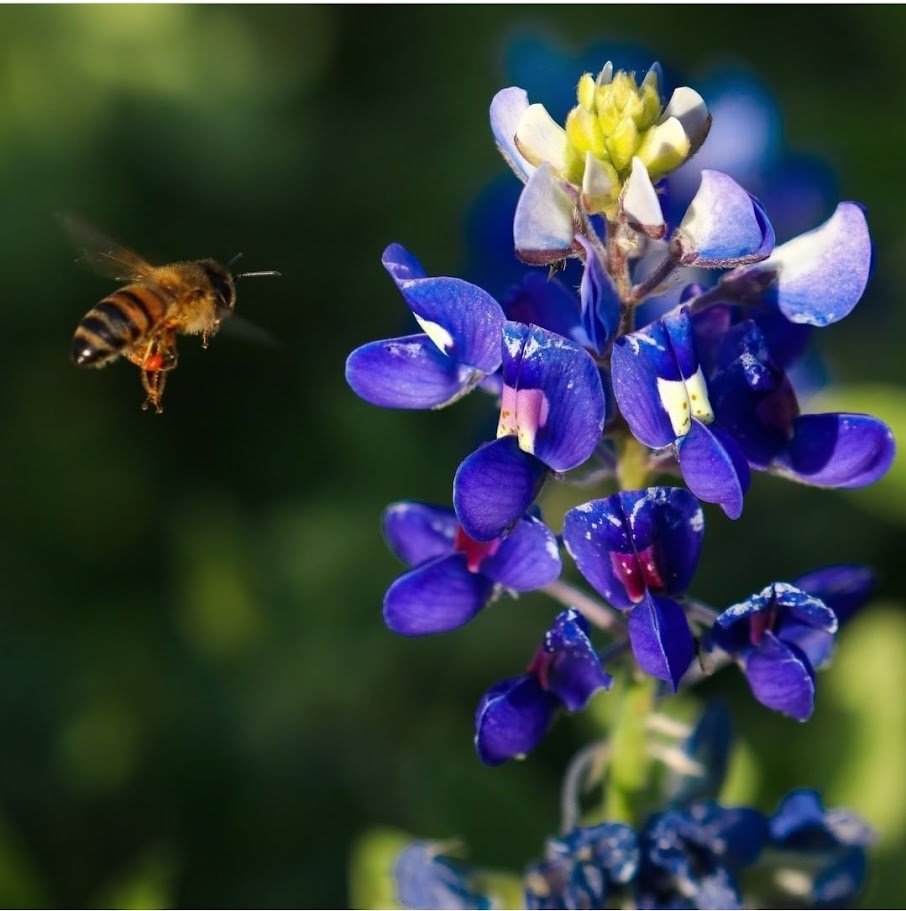 Christopher McQuade tweet media