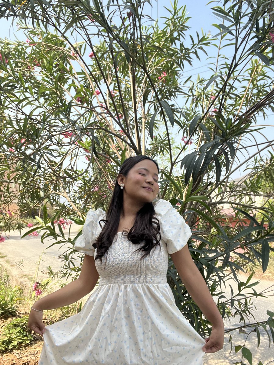 Caught between sunshine and petals 🌸