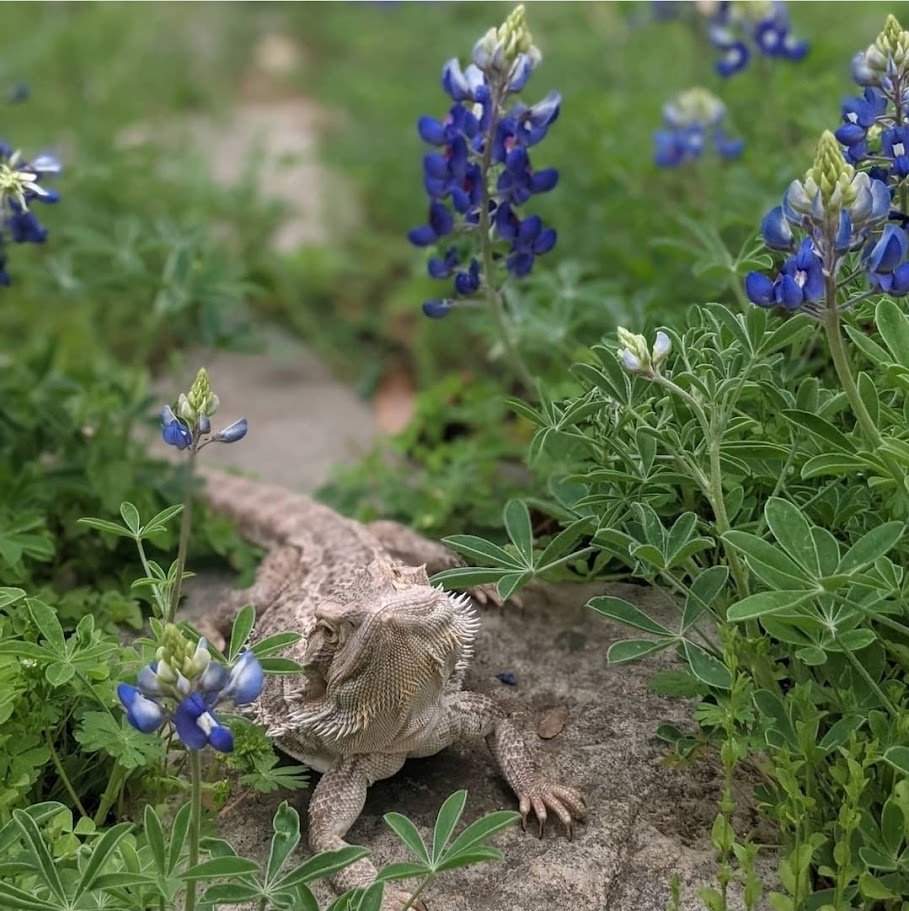 Christopher McQuade tweet media