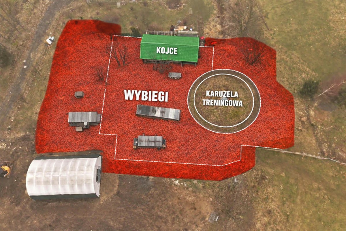 Konrad Krasuski tweet media