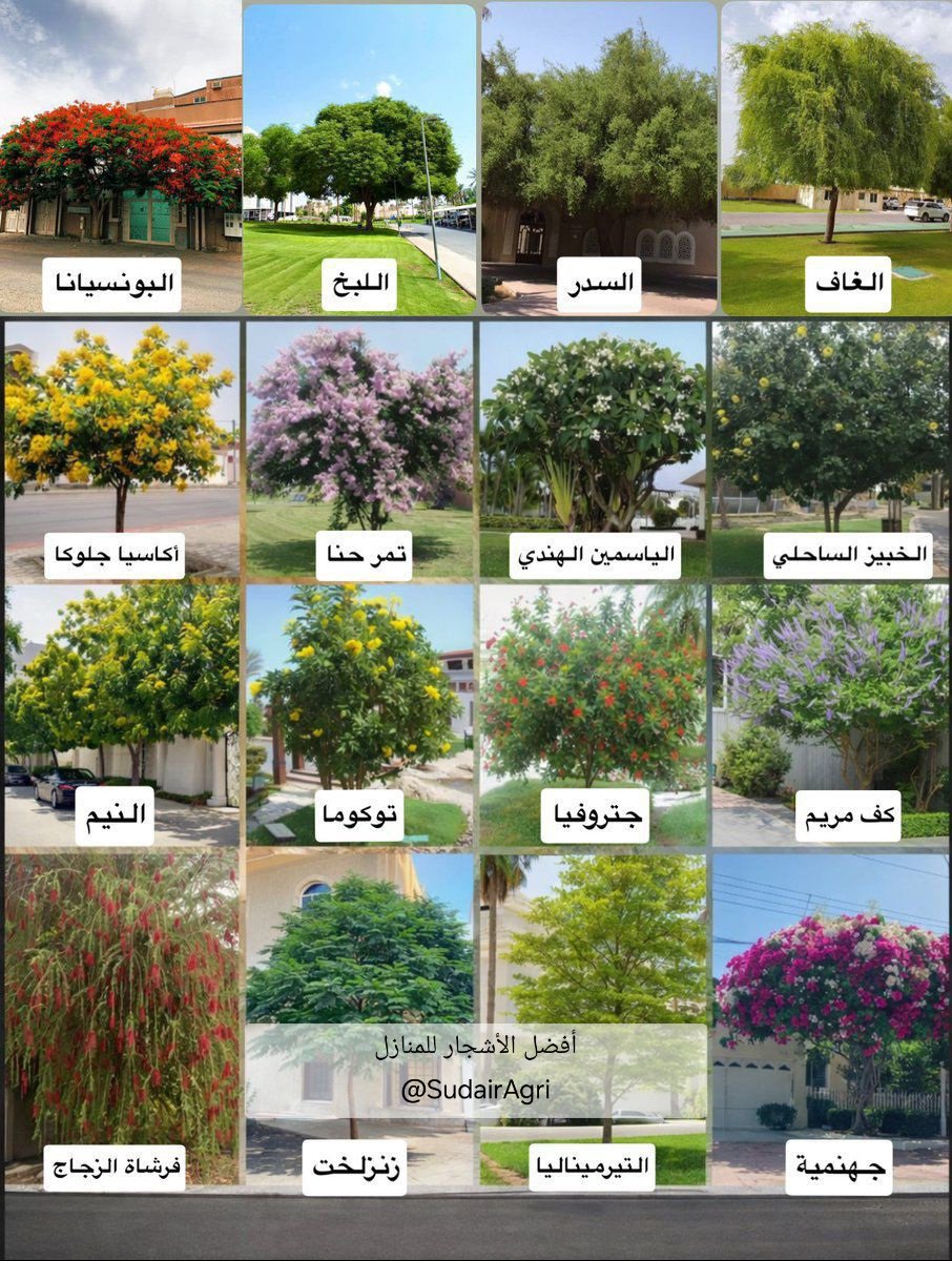 شبكة سدير الزراعية tweet media