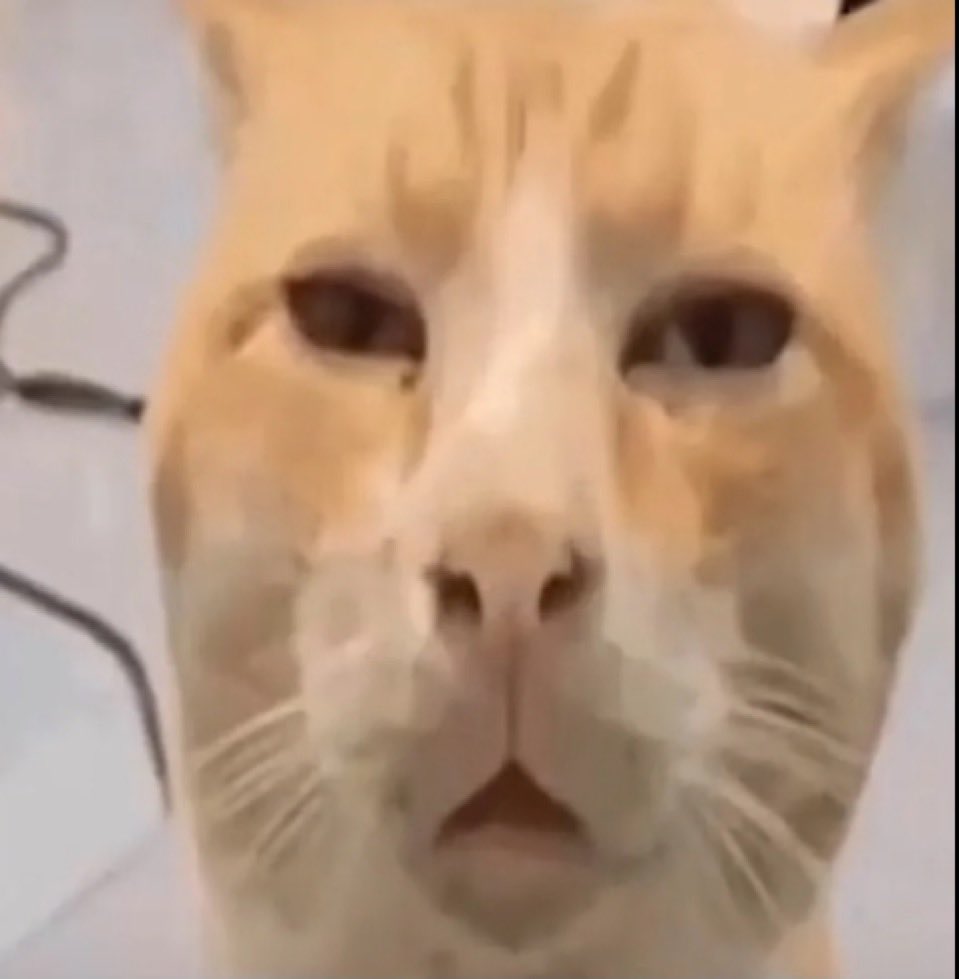 L8 Skinnerr tweet media