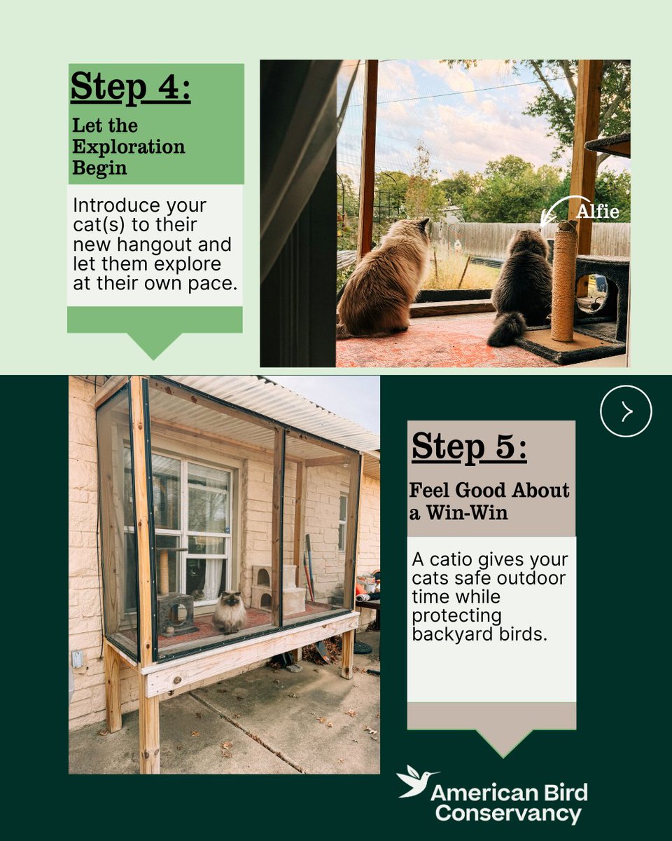 American Bird Conservancy tweet media