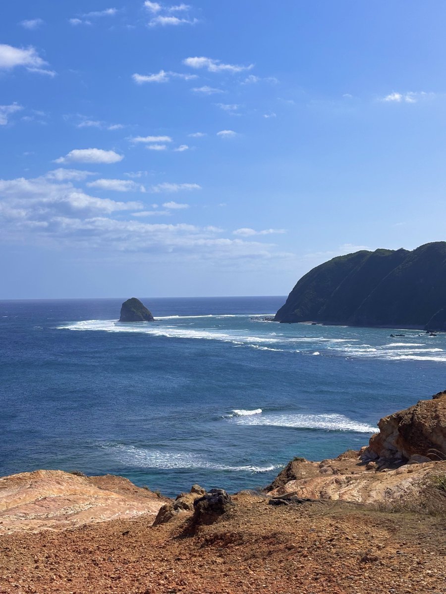 daichan🦈 tweet media