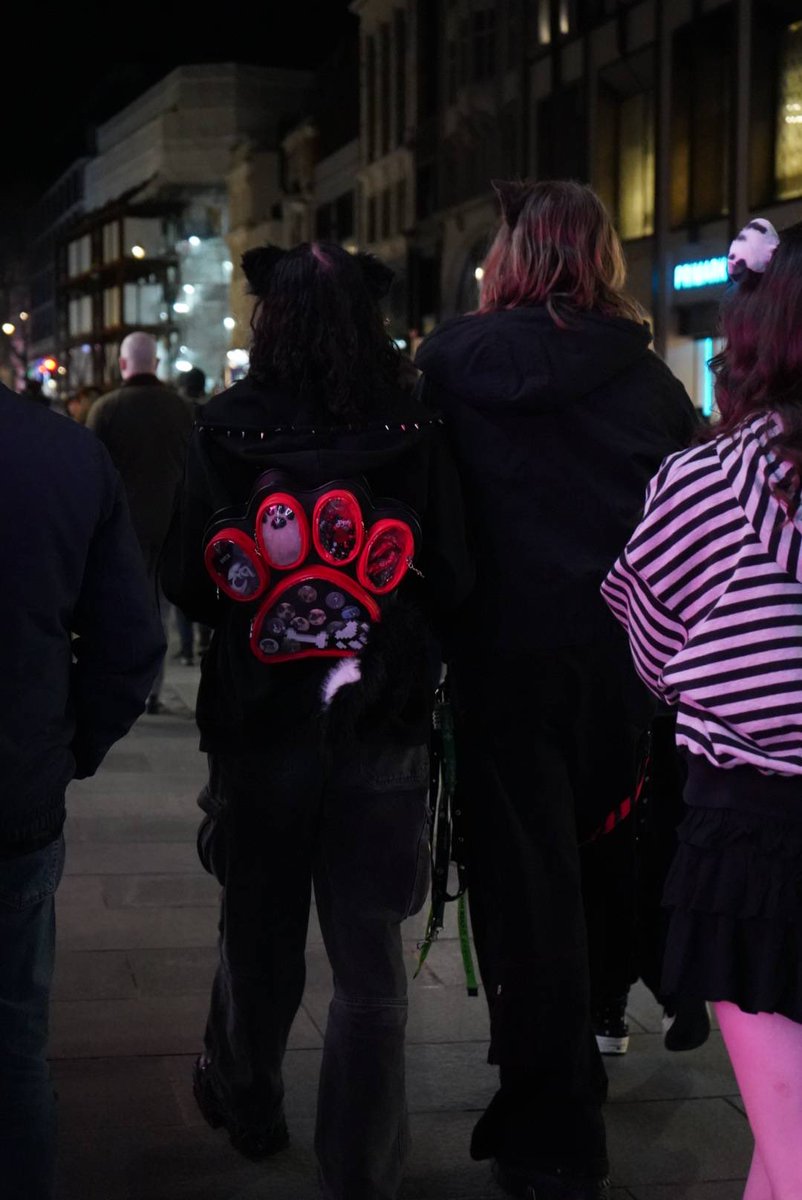 beck 🐾 tweet media