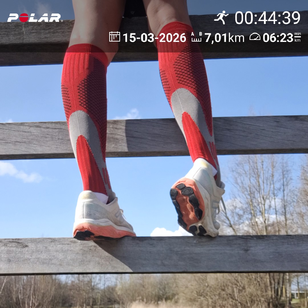 Dieneke 🏃♀️🚴♀️🏋️♀️ tweet media