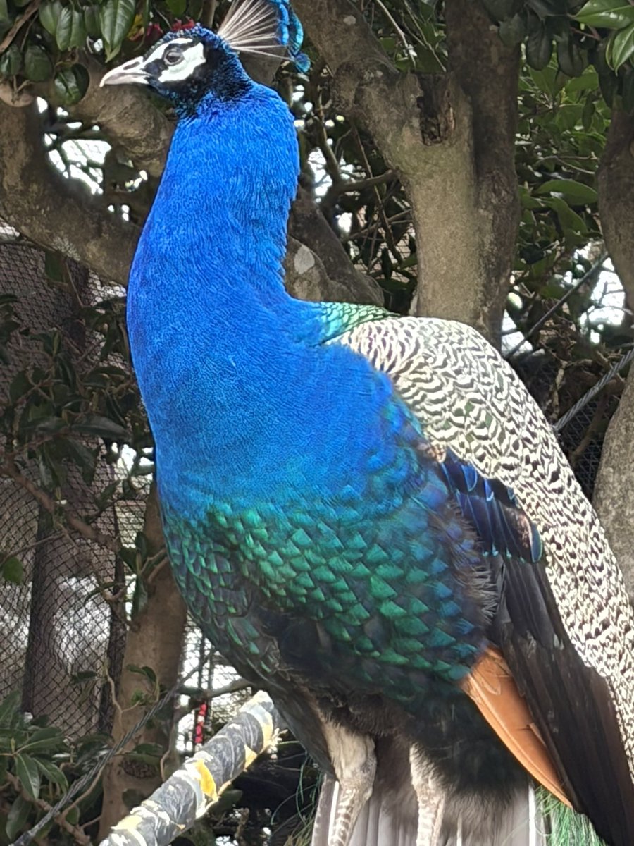 mizuki_ko9's tweet photo. 動物園行った🫶 https://t.co/egeJBn0HHV