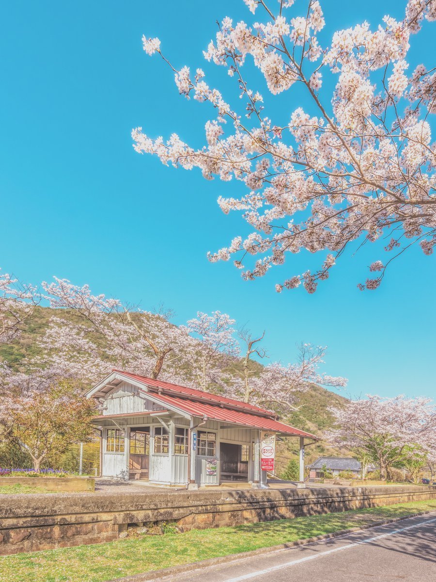 桜の駅