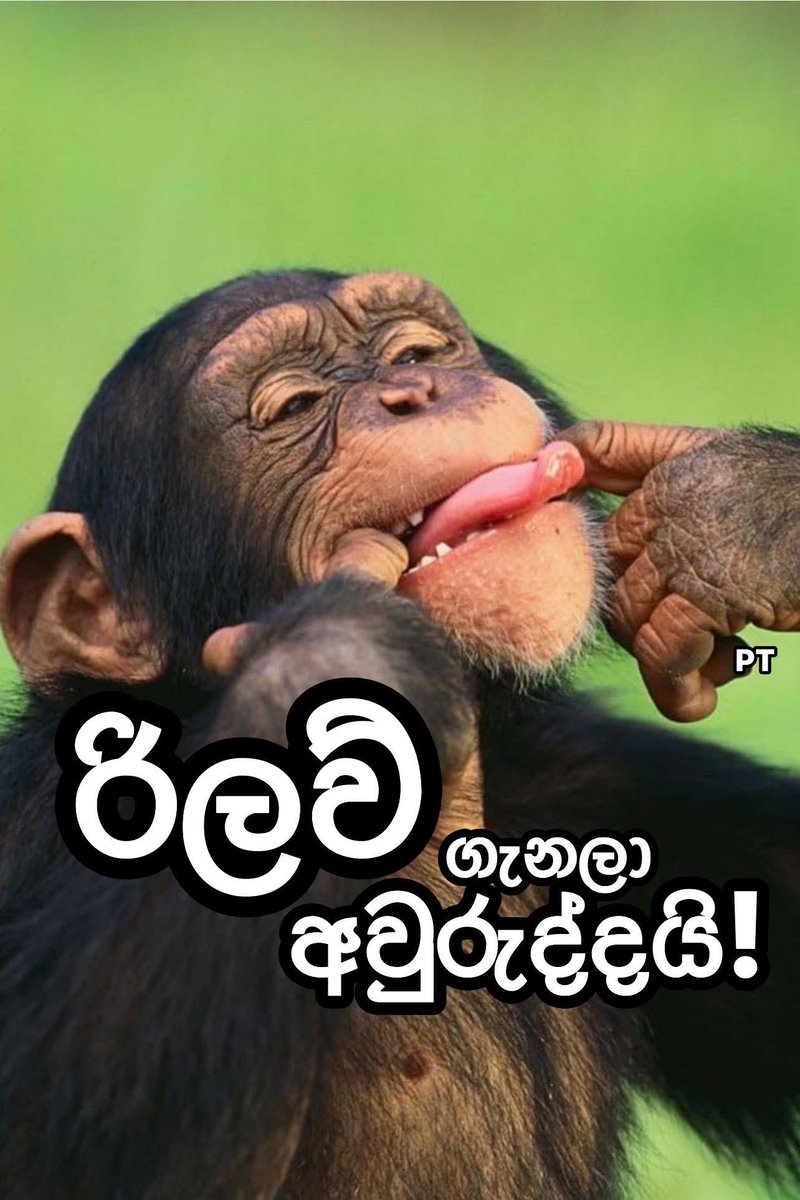 irajonline's tweet image. පලමු සංවත්සරය අදයි ! 😂

#NPP #JVP #LKa #SriLanka