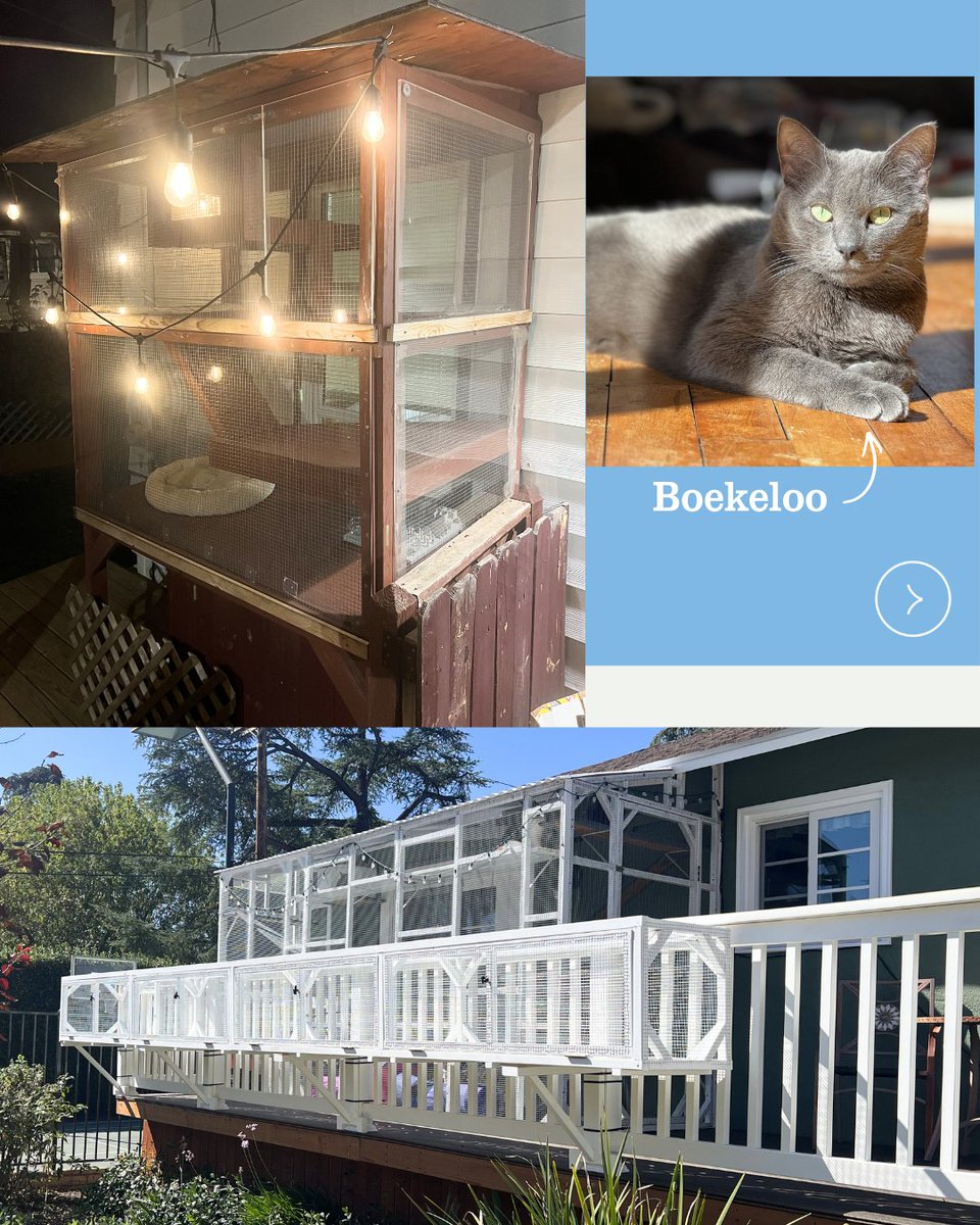 American Bird Conservancy tweet media