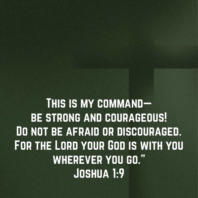 Josh Johnson tweet media