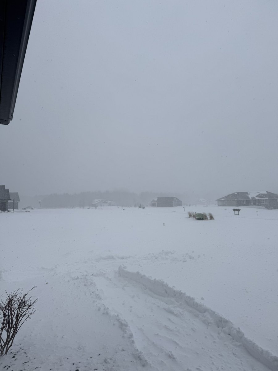 Kobs 🇺🇸 tweet media