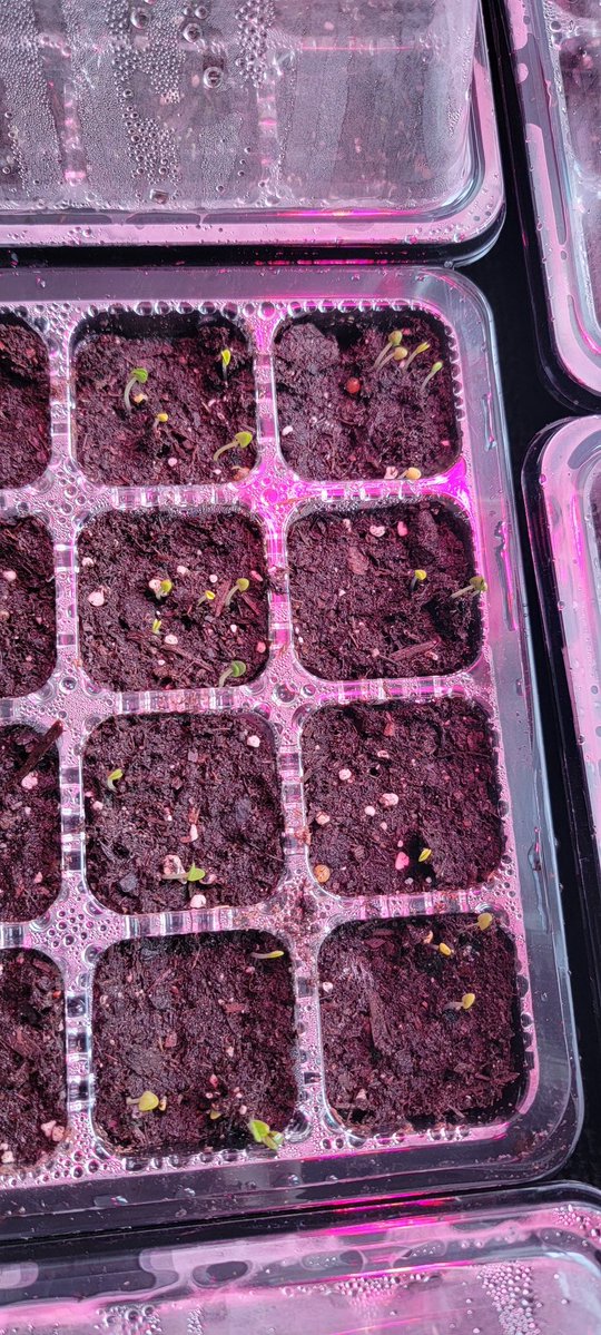 Dr Heather Hughson 🇺🇦 tweet media