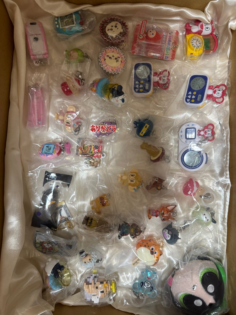 こむぎ🐰🌕 tweet media