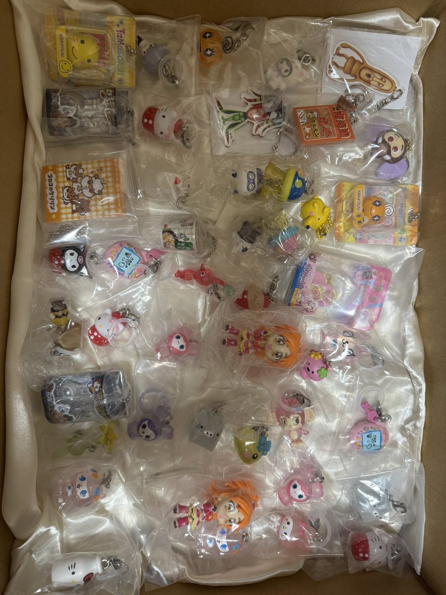 こむぎ🐰🌕 tweet media